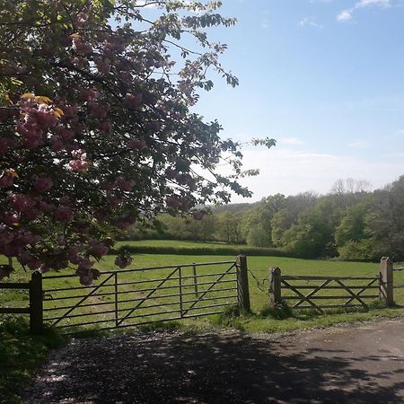 Moaps Farm B&B Support Small Business, Welcome, Check In From 5 Pm Danehill Dış mekan fotoğraf