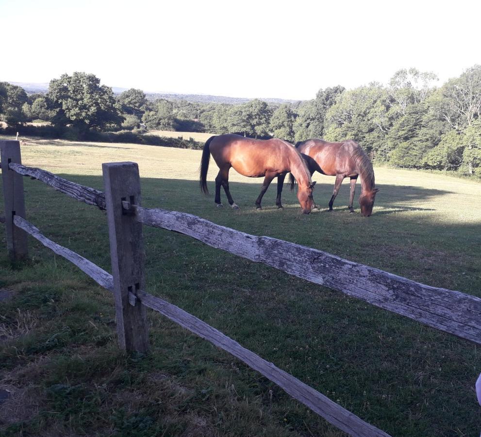Moaps Farm B&B Support Small Business, Welcome, Check In From 5 Pm Danehill Dış mekan fotoğraf