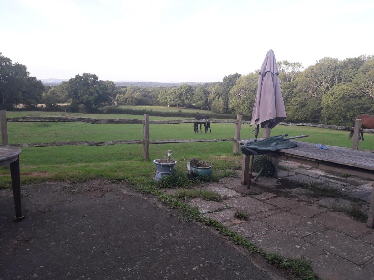 Moaps Farm B&B Support Small Business, Welcome, Check In From 5 Pm Danehill Dış mekan fotoğraf