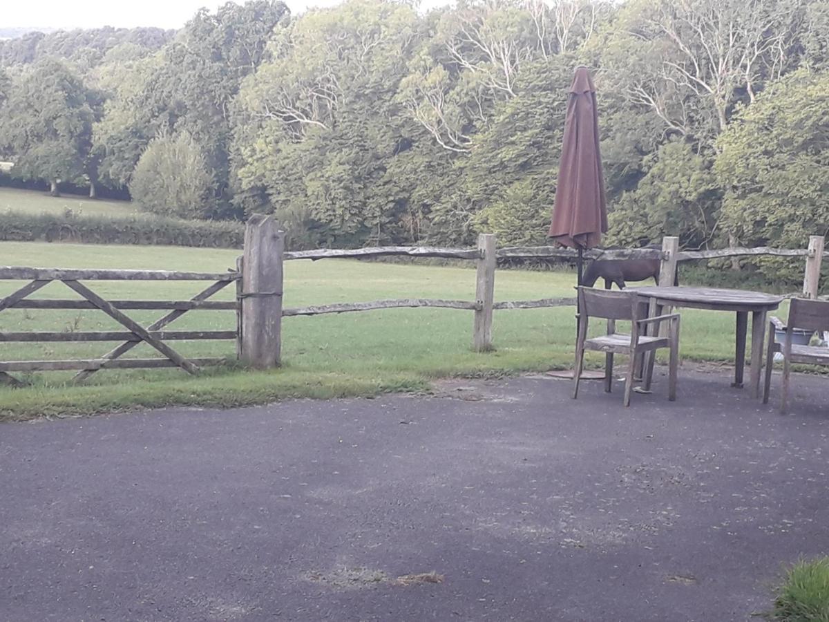 Moaps Farm B&B Support Small Business, Welcome, Check In From 5 Pm Danehill Dış mekan fotoğraf