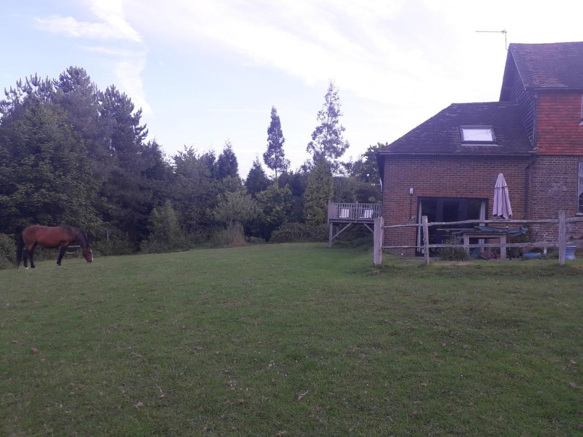 Moaps Farm B&B Support Small Business, Welcome, Check In From 5 Pm Danehill Dış mekan fotoğraf