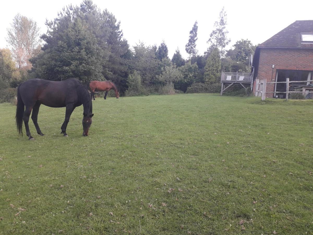 Moaps Farm B&B Support Small Business, Welcome, Check In From 5 Pm Danehill Dış mekan fotoğraf