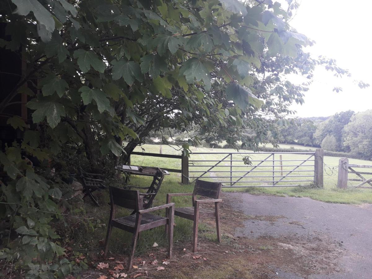 Moaps Farm B&B Support Small Business, Welcome, Check In From 5 Pm Danehill Dış mekan fotoğraf