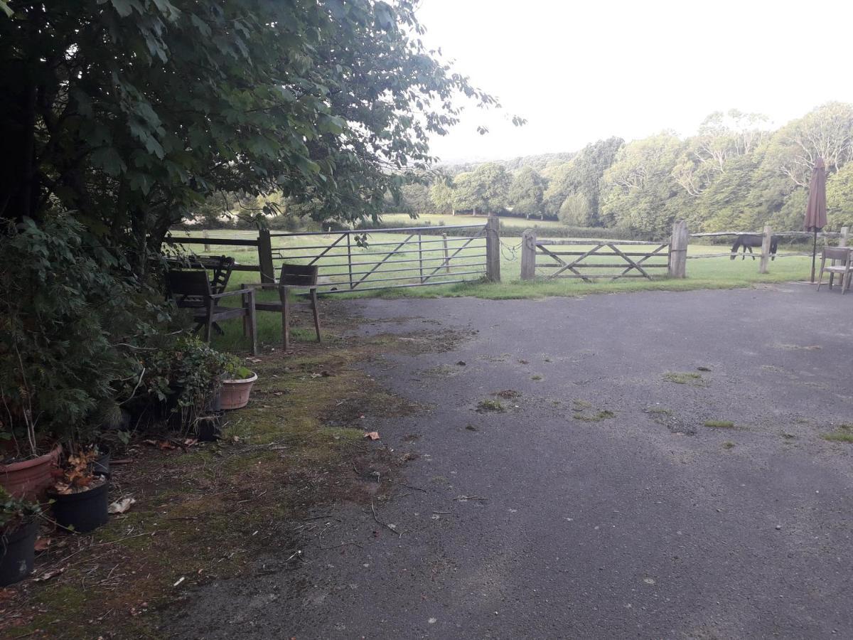 Moaps Farm B&B Support Small Business, Welcome, Check In From 5 Pm Danehill Dış mekan fotoğraf