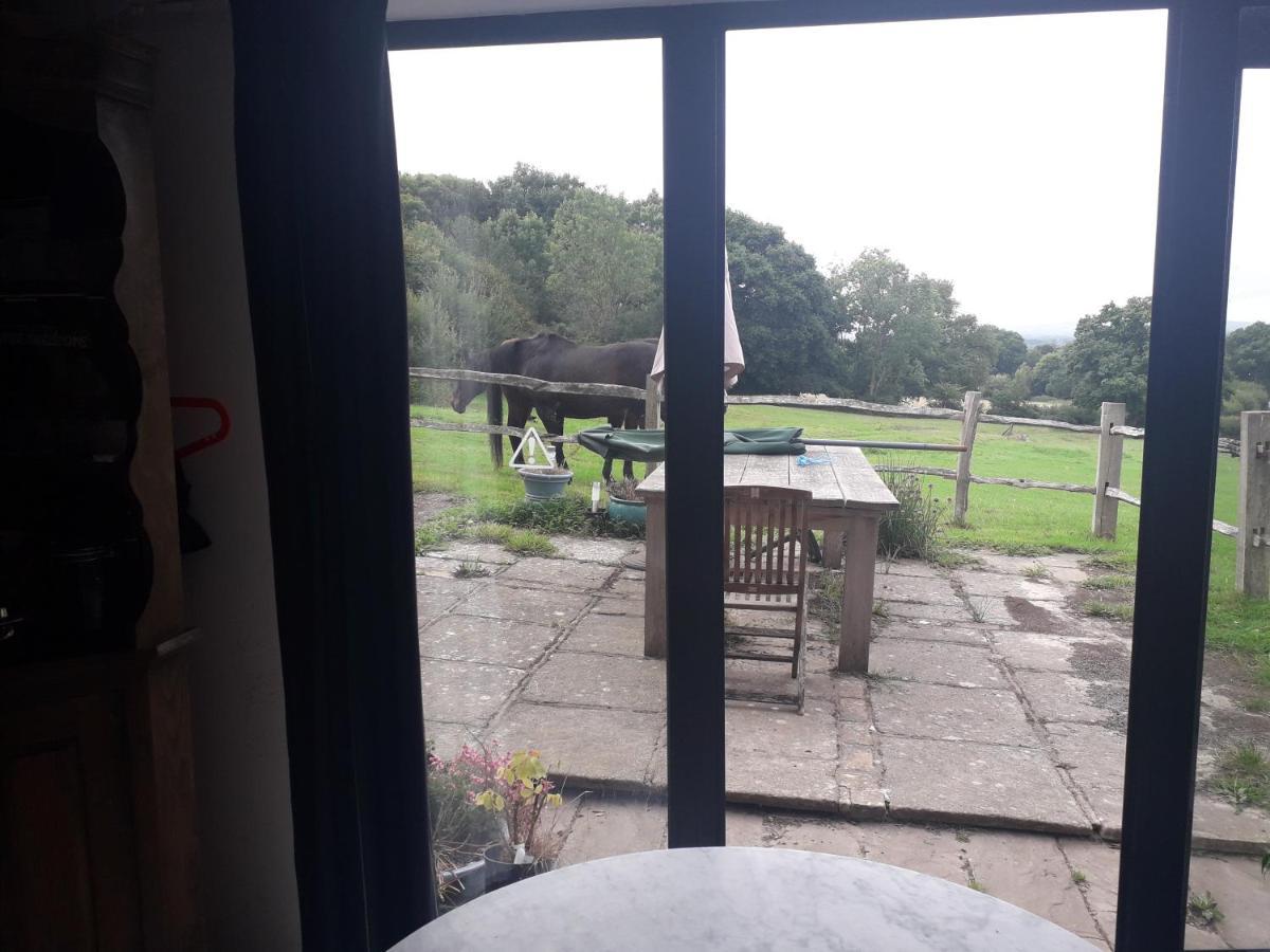Moaps Farm B&B Support Small Business, Welcome, Check In From 5 Pm Danehill Dış mekan fotoğraf