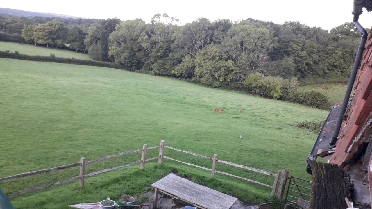 Moaps Farm B&B Support Small Business, Welcome, Check In From 5 Pm Danehill Dış mekan fotoğraf