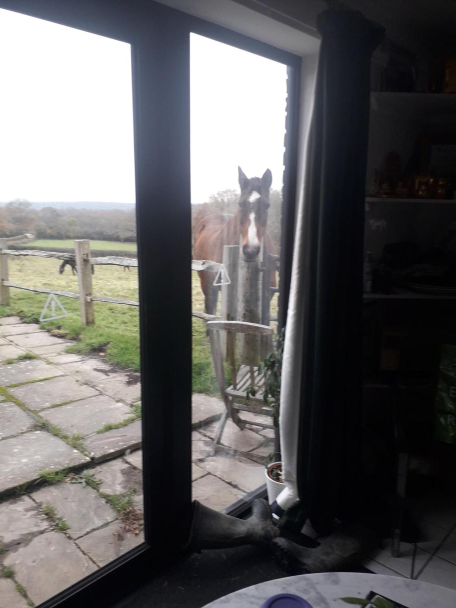 Moaps Farm B&B Support Small Business, Welcome, Check In From 5 Pm Danehill Dış mekan fotoğraf