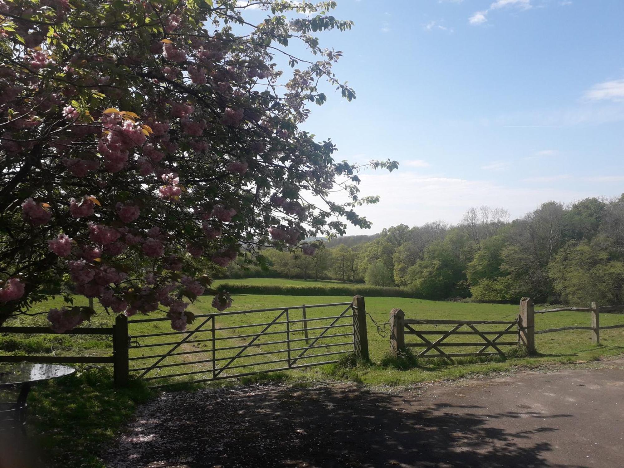 Moaps Farm B&B Support Small Business, Welcome, Check In From 5 Pm Danehill Dış mekan fotoğraf